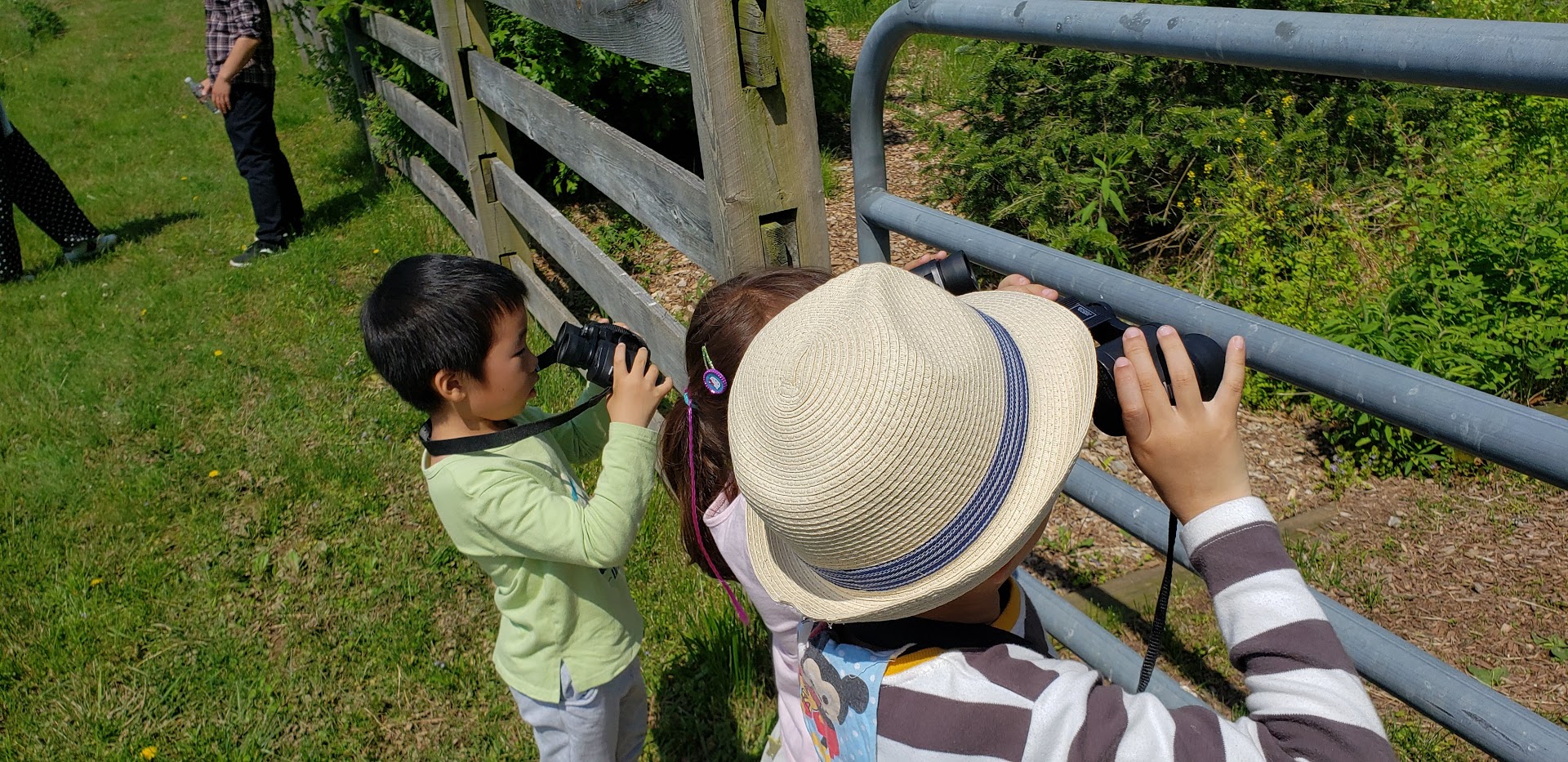 Discover the Joy of Bird Watching!