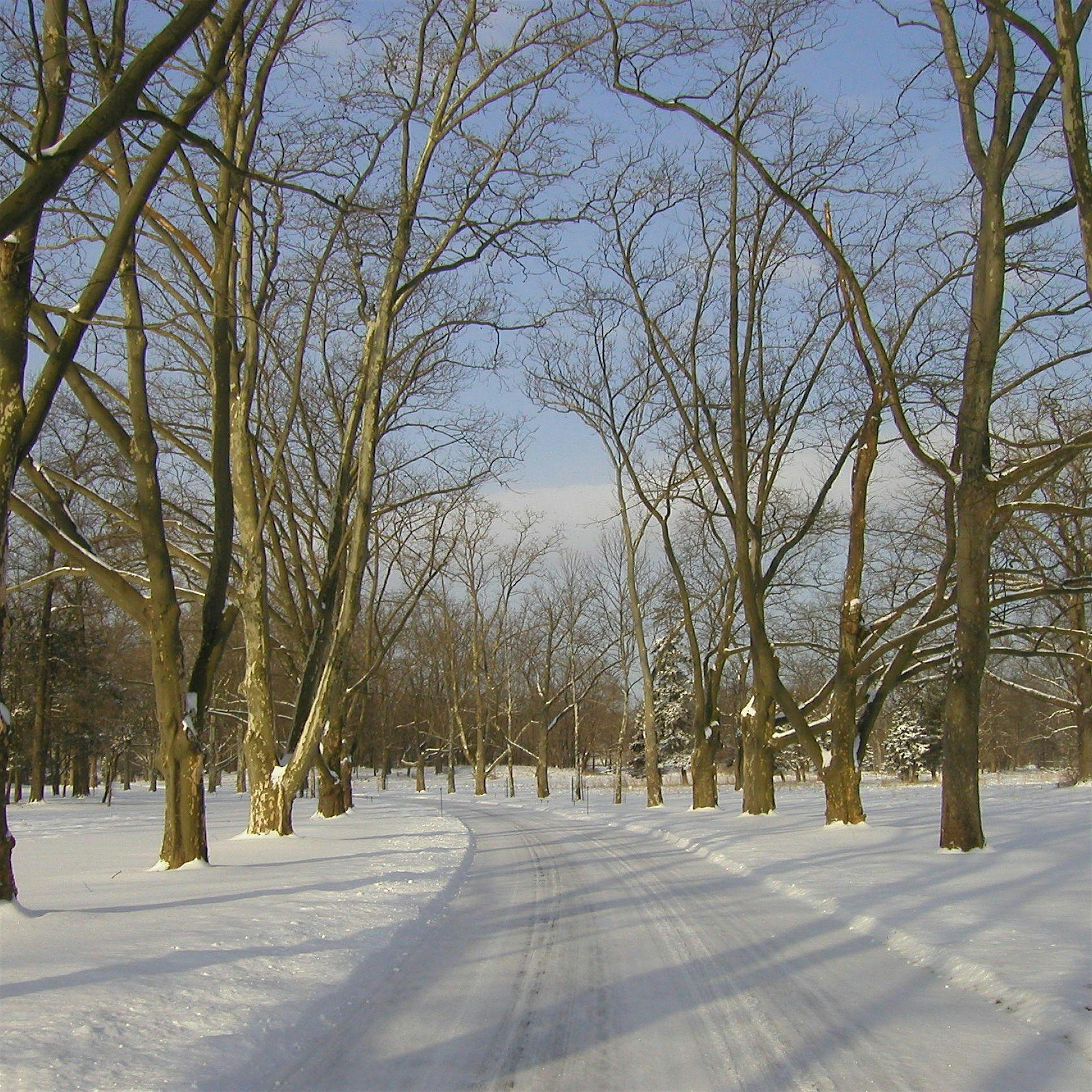 Winter Solstice Wander