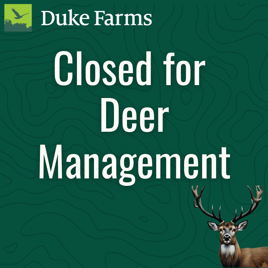 Winter 2025 Deer Management Closures