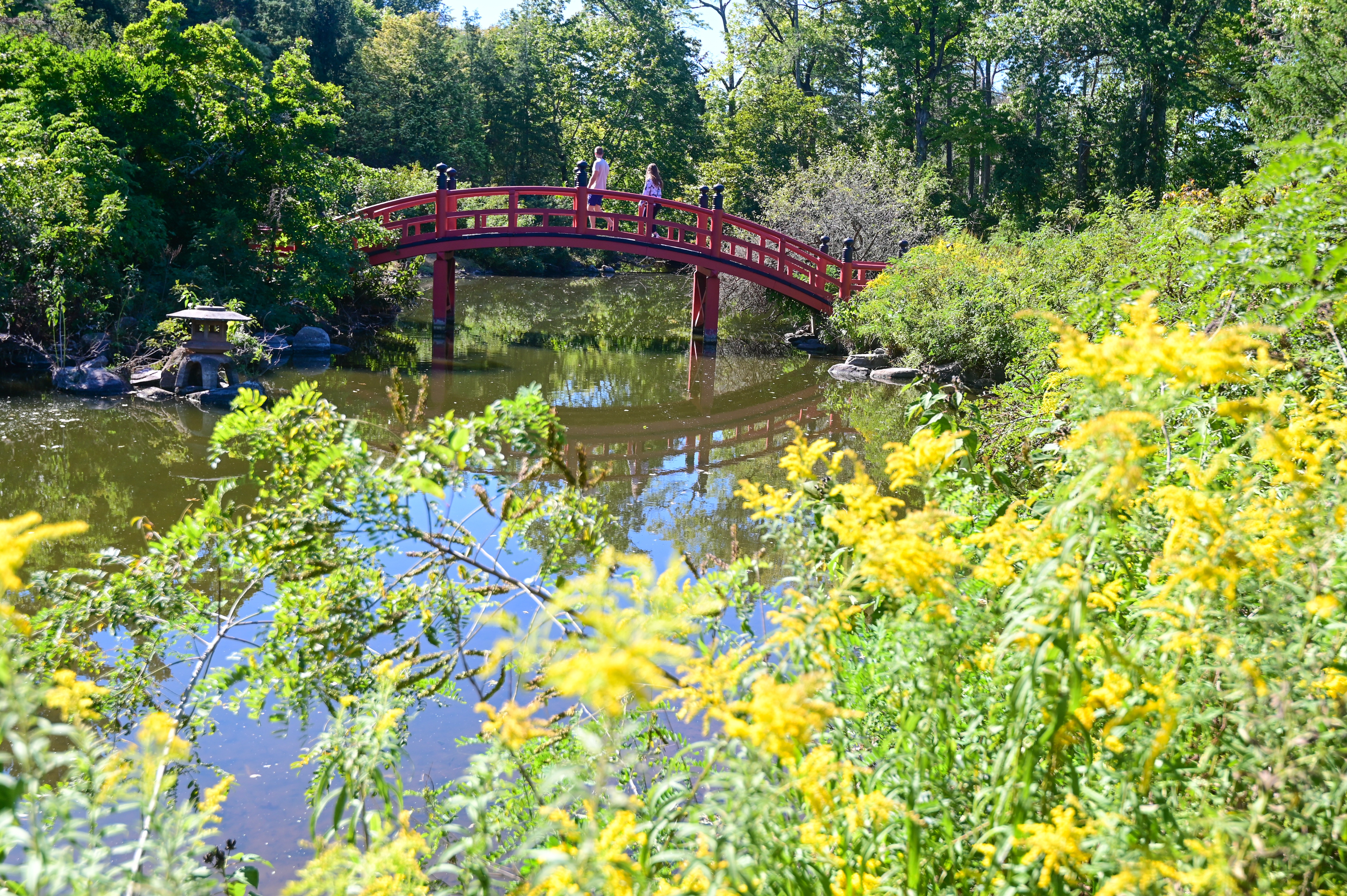 Nature Navigators: Appreciating Ecosystem Services