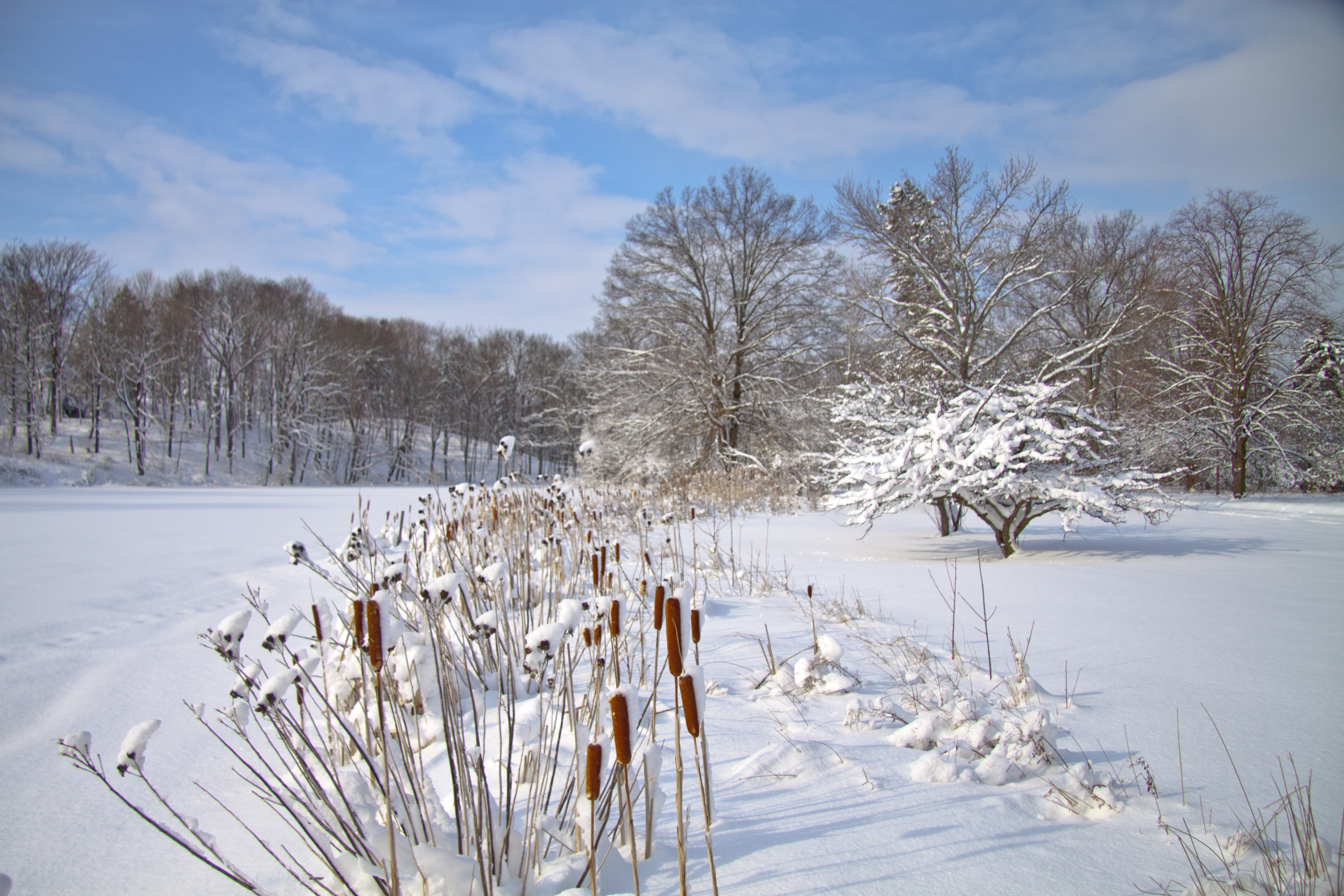 Looking for Life in the Winter